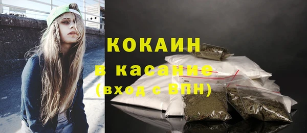 ECSTASY Богданович