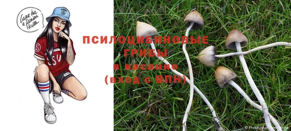 PSILOCYBIN Богородск