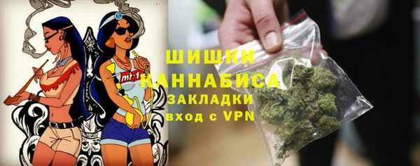 ECSTASY Богданович