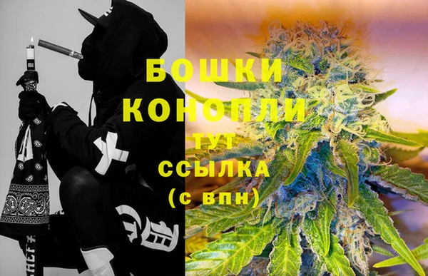 тгк Сатка