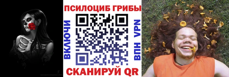 купить наркоту  Кириллов  Псилоцибиновые грибы мицелий 